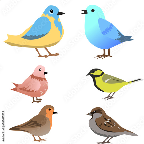 Set of spring birds. Vector cartoon illustration in childish style. Different birds. Images are isolated on white. . Vector illustration