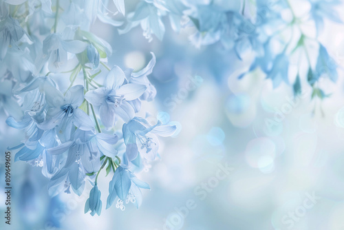 Background of blue bells flowers