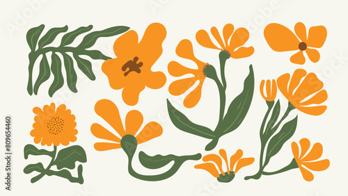 Abstract Floral background vector. Botanical, tropical plants, flower, leaf branches, leaves. Foliage design for banner, prints, decor, wall art, decoration.