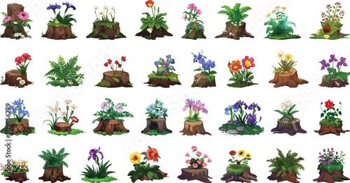 Large set of colorful flowers on rocks and wood illustration