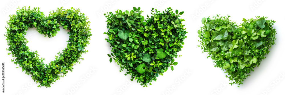 heart shape border frame made of green leaves isolated on white background, concept of love for nature, natural eco friendly herbal plant based design element, evolving thriving growth symbol icon heart shape border frame made of green leaves isolated on white background, concept of love for nature, natural eco friendly herbal plant based design element, evolving thriving growth symbol icon