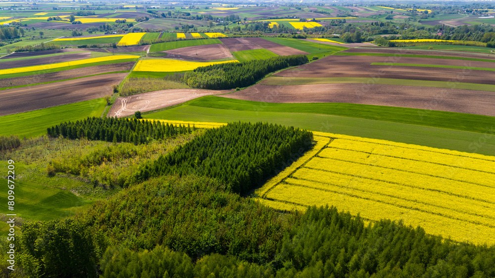 Fototapeta premium Beautiful farmland and coutryside in Ponidzie, Poland. Aerial drone view