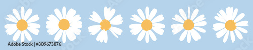 Set of daisy chamomile flower on blue background vector. © Thanawat