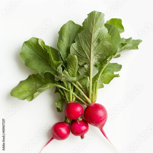 A photo of fresh radishes with green leaves on a white background.