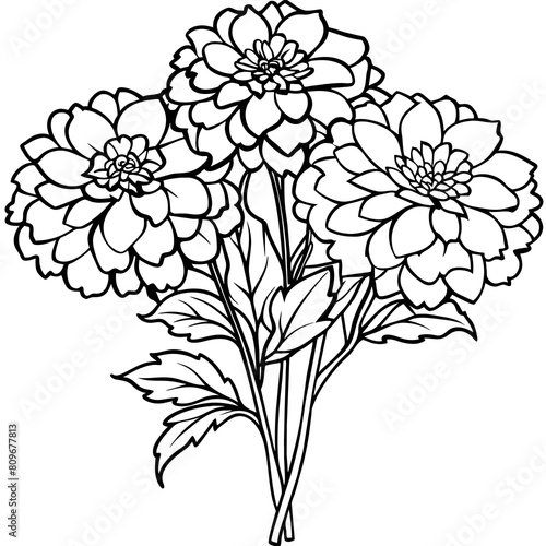 Marigold Flower outline illustration coloring book page design, Marigold Flower Bouquet black and white line art drawing coloring book pages for children and adults
