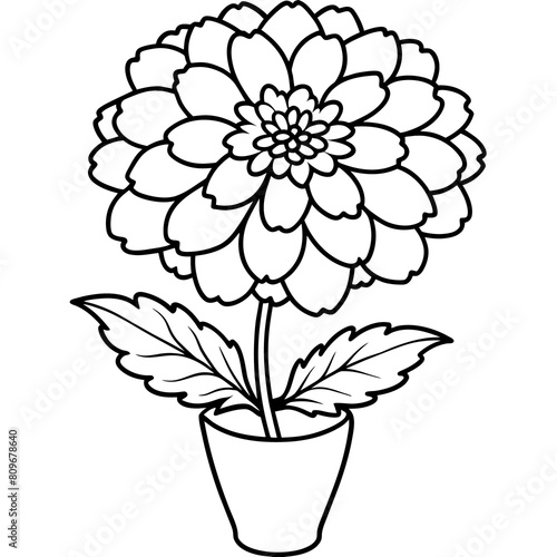 Marigold Flower outline illustration coloring book page design, Marigold Flower Bouquet black and white line art drawing coloring book pages for children and adults
