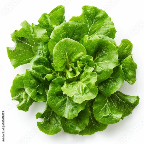 Fresh and crispy lettuce. Perfect for salads, sandwiches, and wraps.