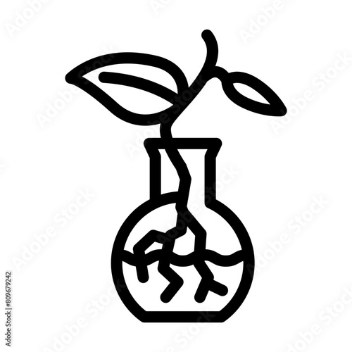 plant propagation urban gardening line icon vector. plant propagation urban gardening sign. isolated contour symbol black illustration