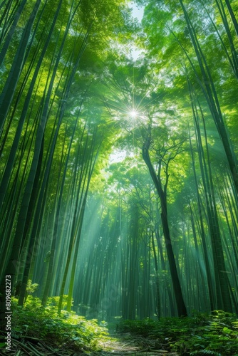 Sunny Day in a Lush Bamboo Forest Generative AI