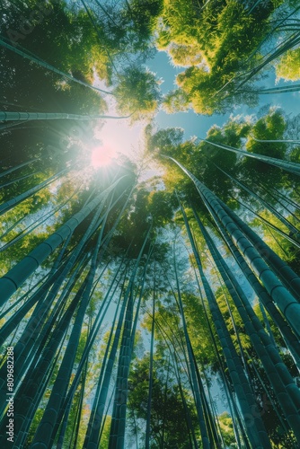 Serenity in the Bamboo Forest Generative AI