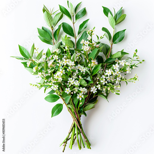 Blooming green branch with flowers