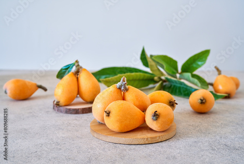 Loquat or Eriobotrya japonica , yellow fruits with green leaves