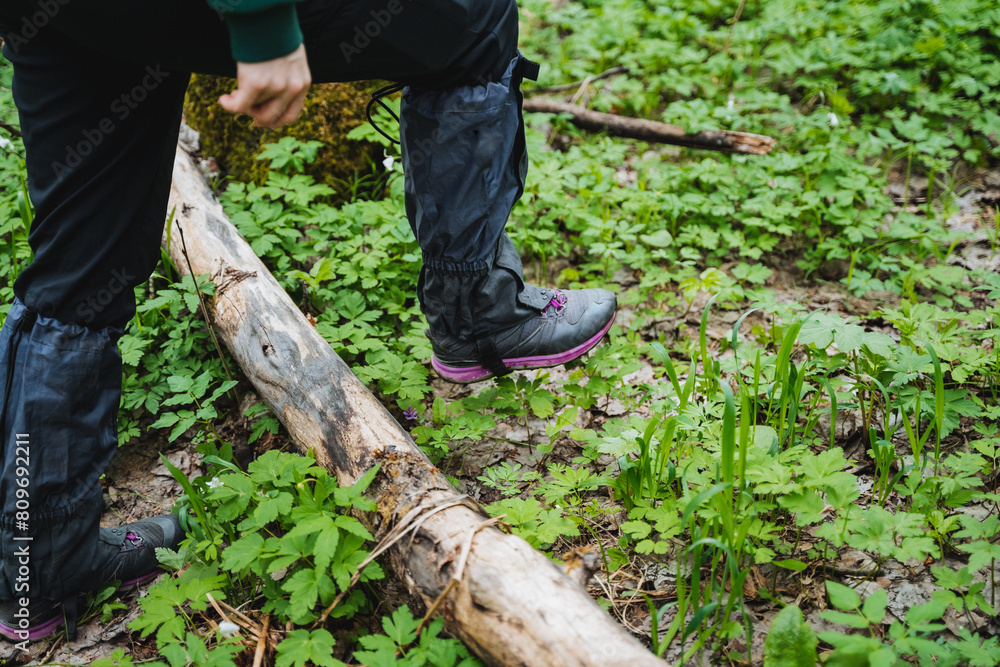 Person kneels on log in woods, surrounded by grass and trees in natural biome Person kneels on log in woods, surrounded by grass and trees in natural biome