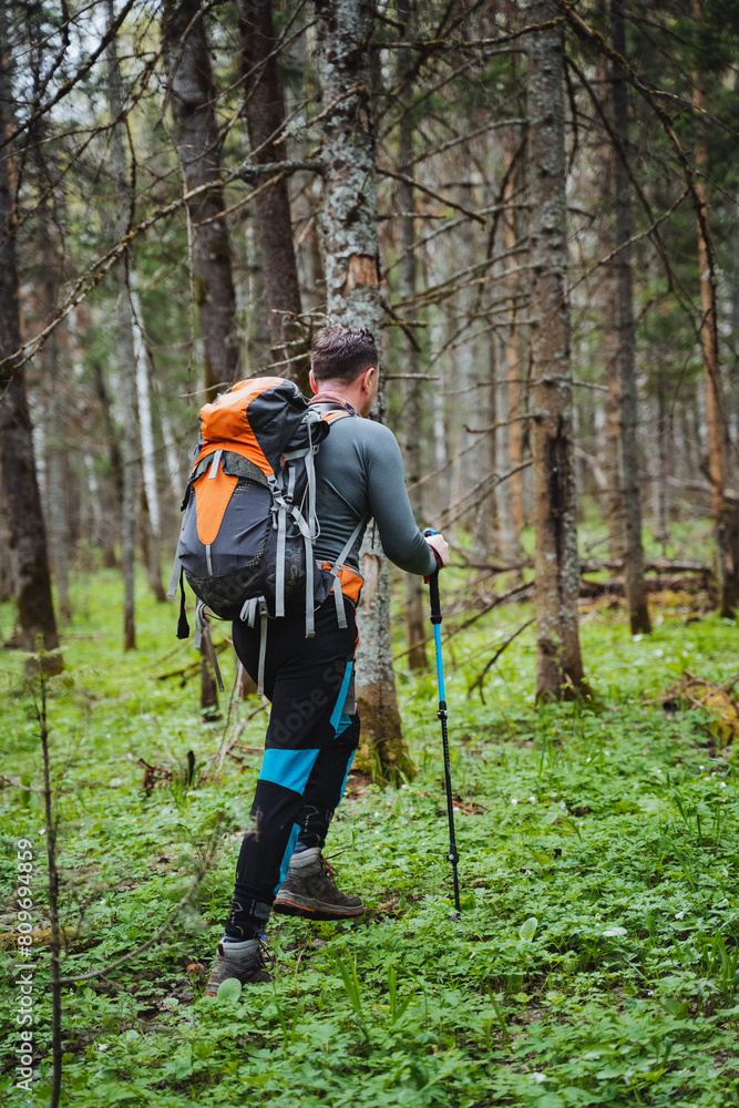 A hiker with poles and backpack treks through a lush forest