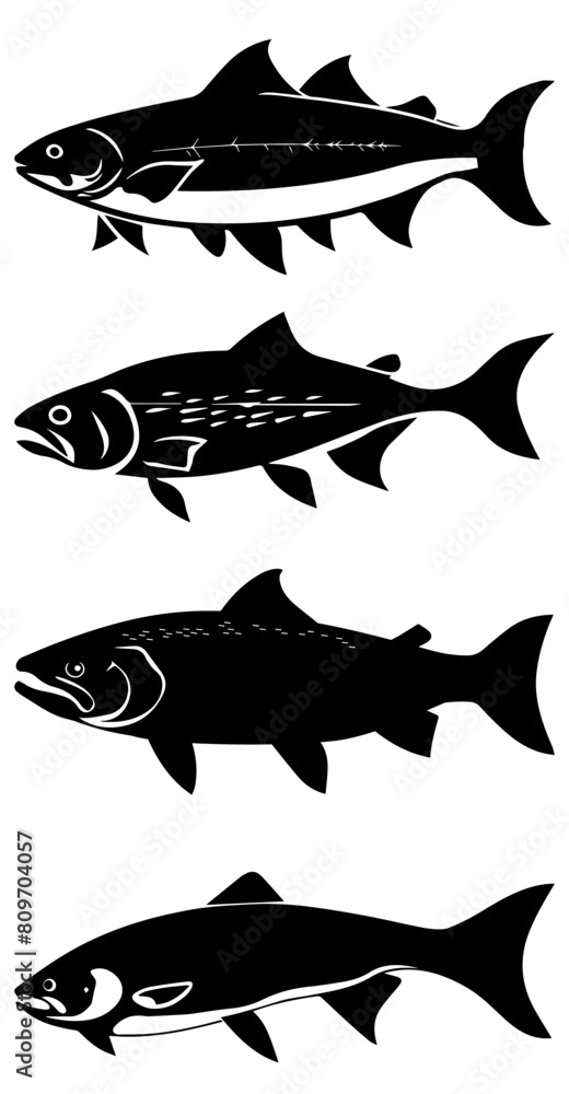 a silhouette vector of a six Salmon fish isolated on white background a silhouette vector of a six Salmon fish isolated on white background