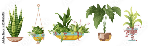 Houseplant and macrame plant growing in pots. Set of handmade home decorations macrame plants isolated on white background. Cartoon flat illustration.