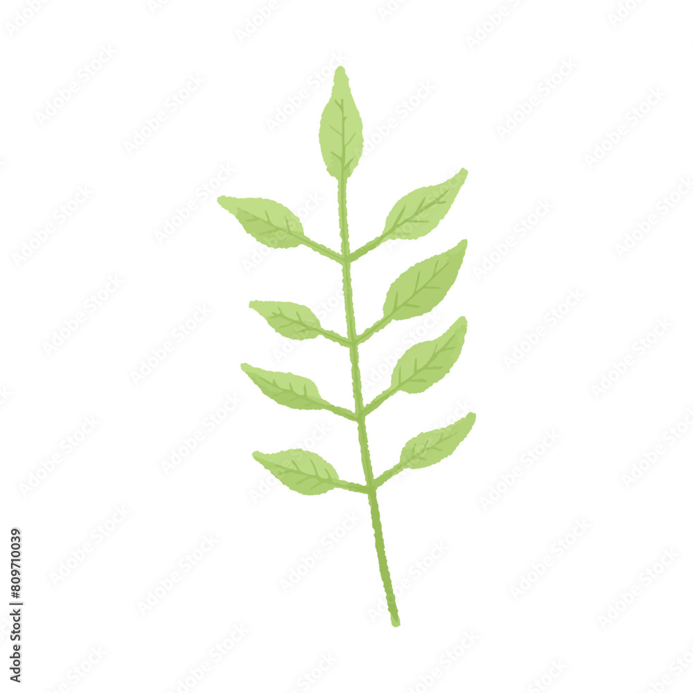 Fototapeta premium Watercolor vector illustration of a leaf in childish style.
