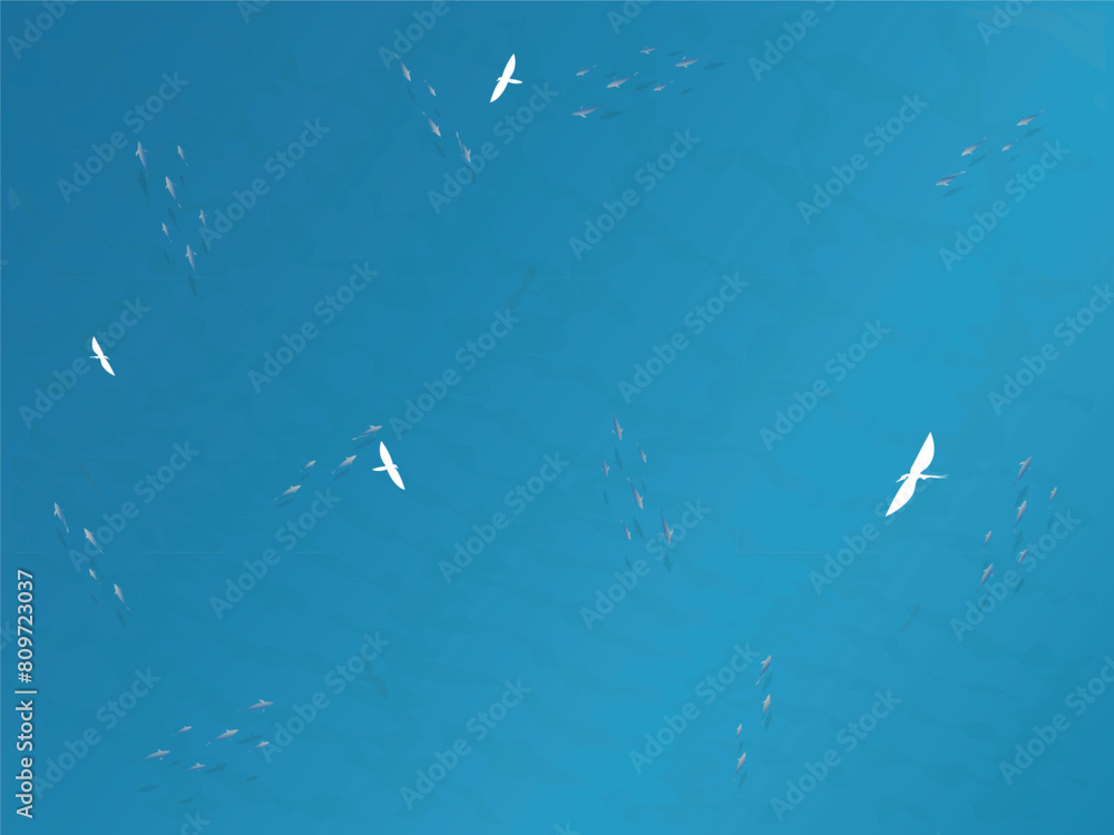 Blue sea, marine life top view. Aerial view. Summer holiday background. Blue sea, marine life top view. Aerial view. Summer holiday background.