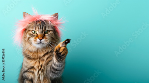 a cat wearing a pink straight wig pointing angrily at the point of view photo