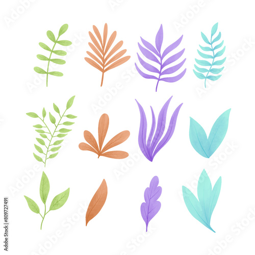 Set of watercolor vector illustration of a seaweed in childish style.