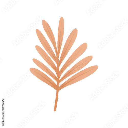 Watercolor vector illustration of a seaweed in childish style.