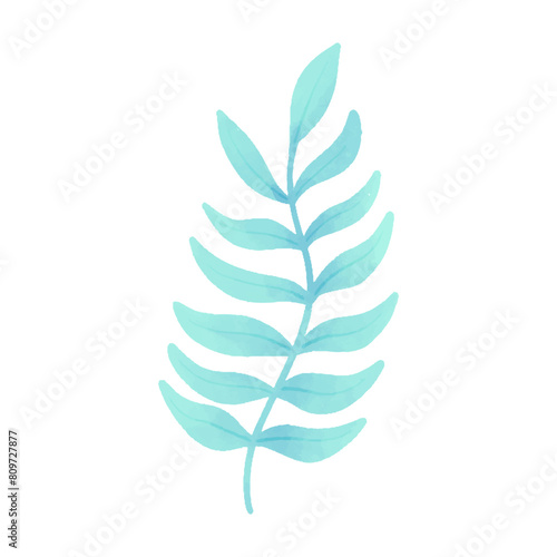 Watercolor vector illustration of a seaweed in childish style.