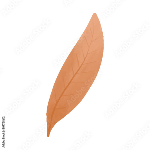 Watercolor vector illustration of a seaweed in childish style.