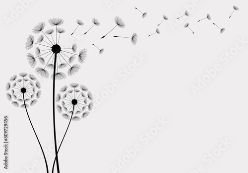 Wild flower dandelion in a vector style isolated. Vector flower for background  dandelion flying wall decal children s room 