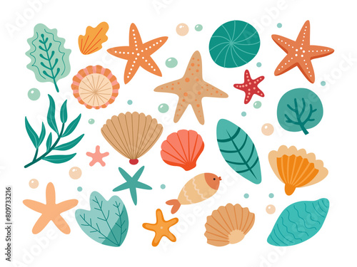 Set of colored sea shells, seaweeds and starfishes