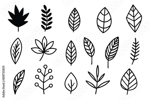 Doodle Leaves Collection Set vector design