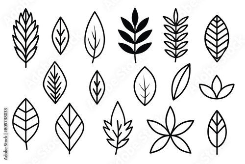 Doodle Leaves Collection Set vector design