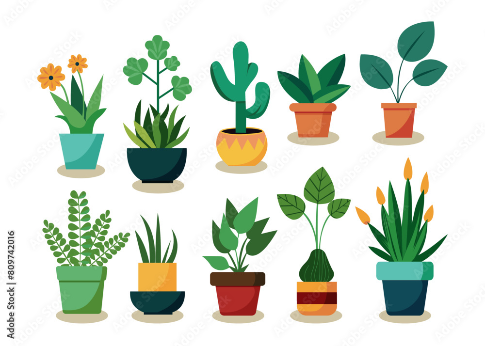 Home plants in flowerpot. Set of houseplants Home plants in flowerpot. Set of houseplants