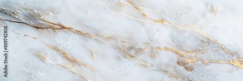 White marble background with golden veins  banner
