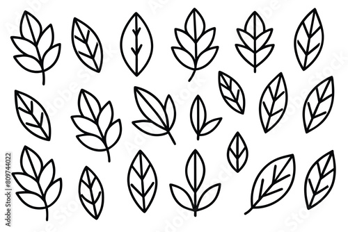 Doodle Leaves Collection Set vector design