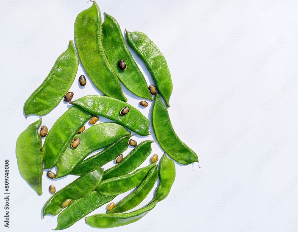 Lablab purpureus commonly known as hyacinth bean, lablab bean, bonavist ...