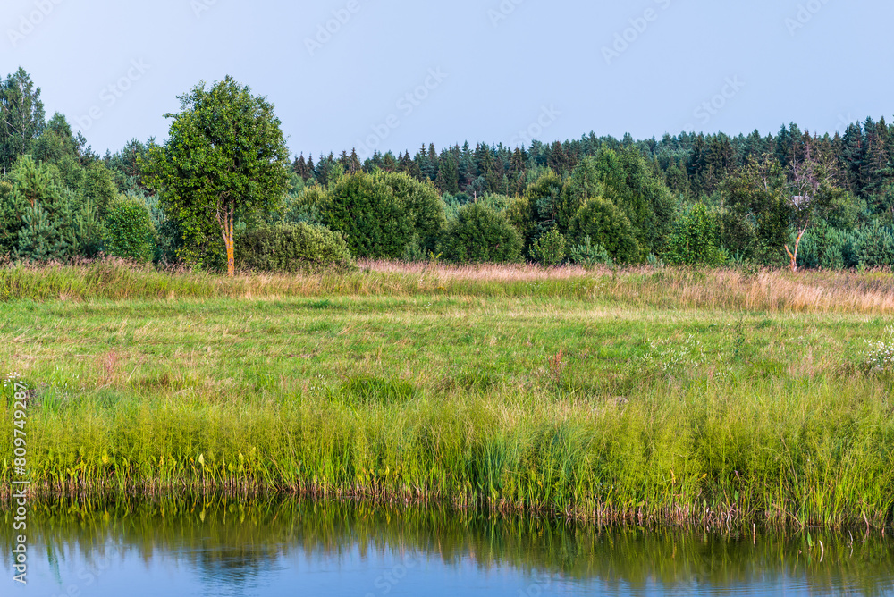 Countryside Wild Nature Near The Pond In The Sunlight Countryside Wild Nature Near The Pond In The Sunlight