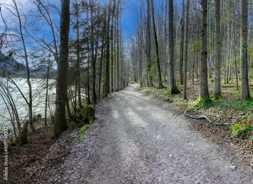 Obraz na płótnie path in the forest w salonie