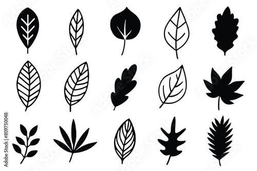 Doodle Leaves Collection Set vector design © mobarok8888