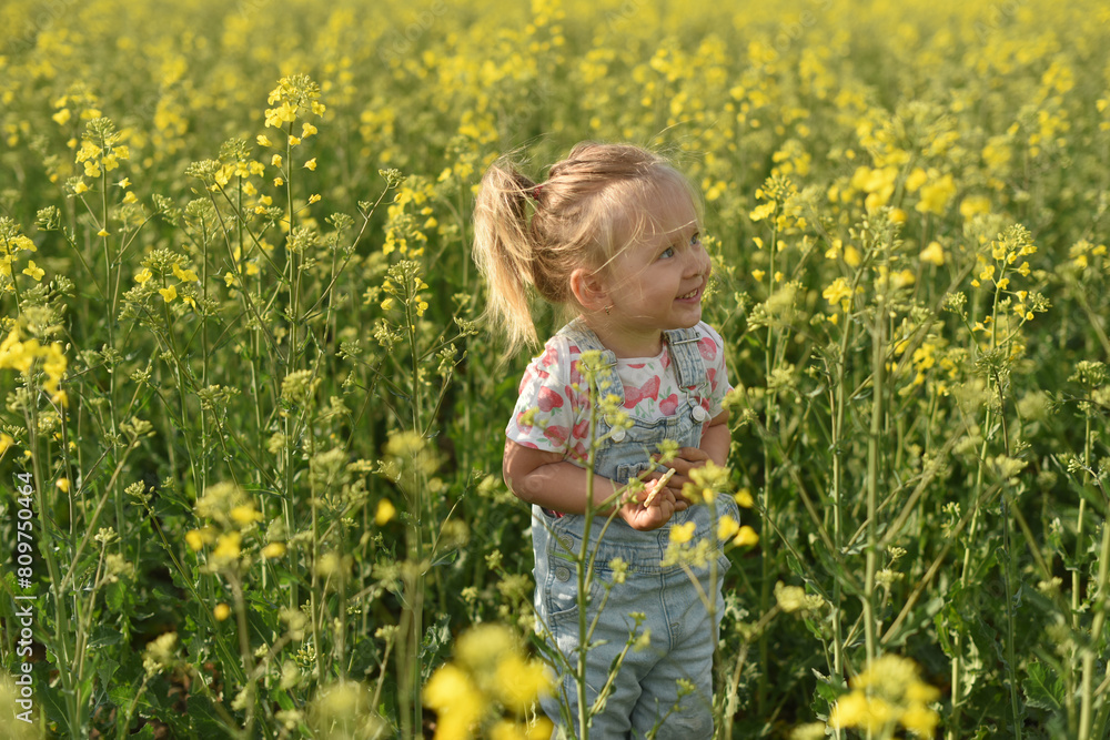 A little girl of two years old is walking in a field. A child walks in a rapeseed field. Blonde little girl of two years old A little girl of two years old is walking in a field. A child walks in a rapeseed field. Blonde little girl of two years old