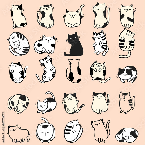 Fototapeta Naklejka Na Ścianę i Meble -  25 cute cat doodles clipart set