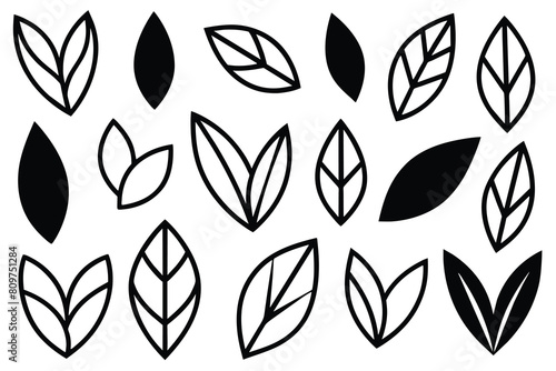 Doodle Leaves Collection Set vector design