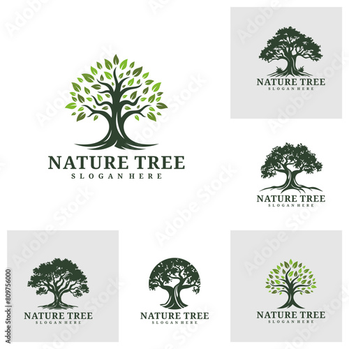 Set of Tree logo design vector. Nature trees vector illustration. Oak tree logo concept