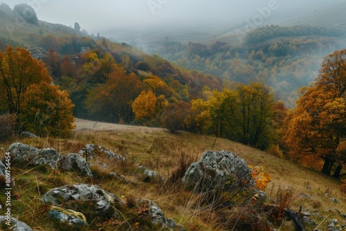 A beautiful autumn landscape with trees in the foreground