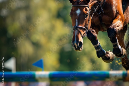 A brown horse with intense expression and muscular build jumping over an obstacle during a race photo