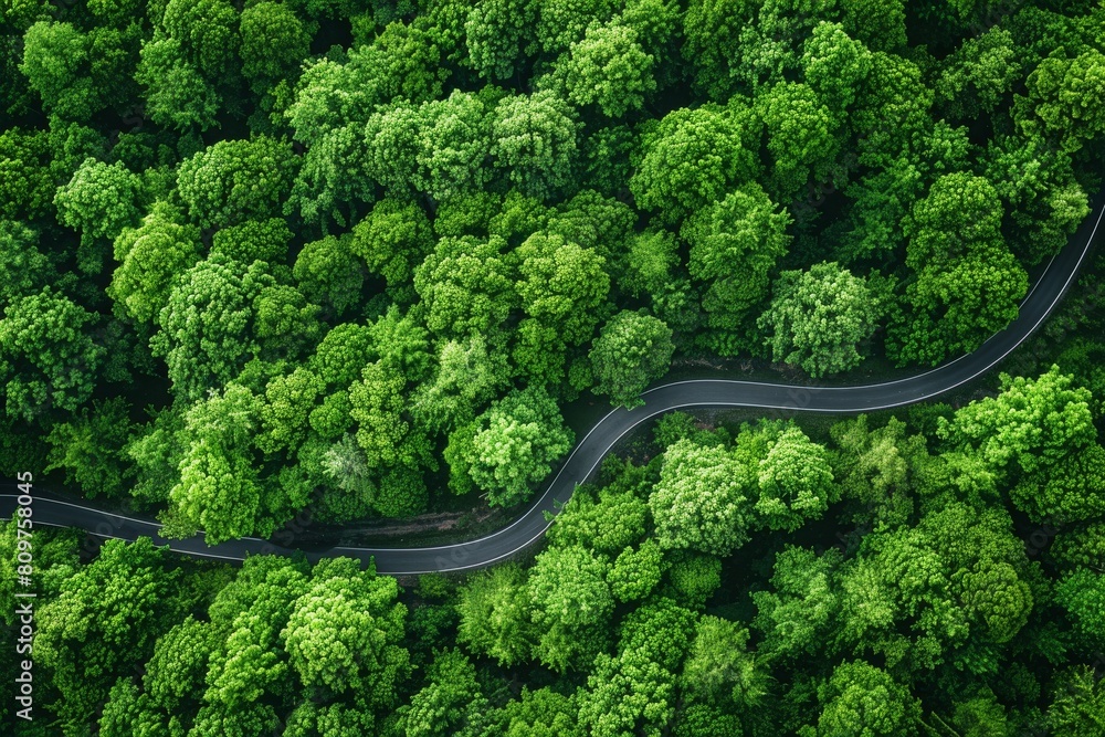 This aerial shot captures a scenic curvy road meandering through a dense, lush green forest, showcasing nature's expansive beauty This aerial shot captures a scenic curvy road meandering through a dense, lush green forest, showcasing nature's expansive beauty
