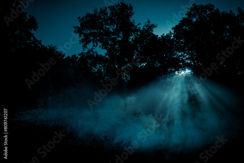 The light rays through the fog among the trees on the night forest glade. Fairytale magic background.