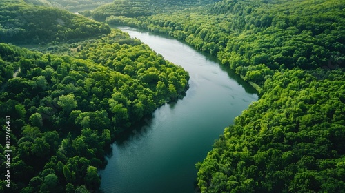 A river with a green forest on either side