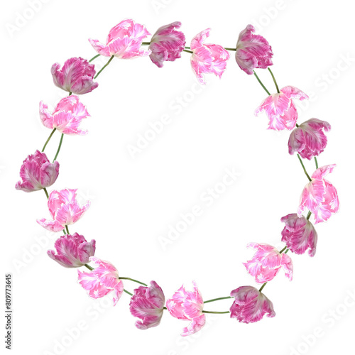 Parrot pink tulips A heart made of pink flowers. The flowers are arranged in a spiral pattern. The circle is surrounded by a white background