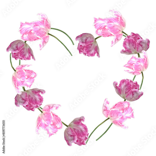 A heart made of pink tulips flowers. The flowers are arranged in a spiral pattern. The heart is surrounded by a white background.