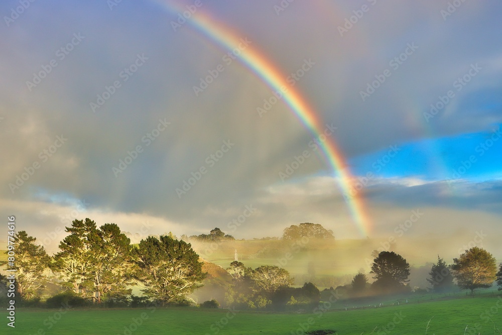 Naklejka premium New Zealand